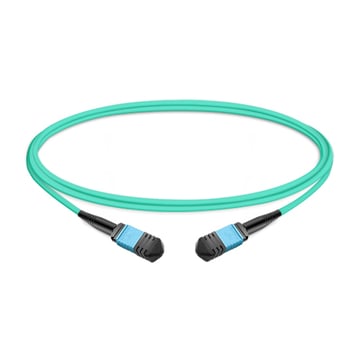16 Fibers Female MPO Trunk Cable B OM4 APC 1m | FiberMall
