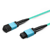 1m (3ft) 16 Fibers Female to Female MPO Trunk Cable Polarity B LSZH OM4 50/125 Multimode Fiber APC