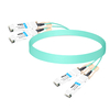 2QSFP56-200G-AOC-3M 3m (10ft) 2x200G QSFP56 to 2x200G QSFP56 PAM4 Breakout Active Optical Cable