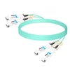 2QSFP56-200G-AOC-30M 30m (98ft) 2x200G QSFP56 to 2x200G QSFP56 PAM4 Breakout Active Optical Cable