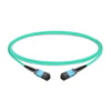 NVIDIA MFP7E10-N005 Compatible 5m (16ft) 8 Fibers Low Insertion Loss Female to Female MPO Trunk Cable Polarity B APC to APC LSZH Multimode OM3 50/125