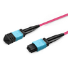 50m (164ft) 12 Fibers Low Insertion Loss Female to Female MPO Trunk Cable Polarity B APC to APC LSZH Multimode OM4 50/125