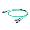 3m (10ft) 8 Fibers Low Insertion Loss Female to Female MPO12 to 2xMPO12 Polarity B APC to APC LSZH Multimode OM3 50/125