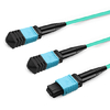 5m (16ft) 8 Fibers Low Insertion Loss Female to Female MPO12 to 2xMPO12 Polarity B APC to APC LSZH Multimode OM3 50/125