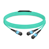 10m (33ft) 8 Fibers Low Insertion Loss Female to Female MPO12 to 2xMPO12 Polarity B APC to APC LSZH Multimode OM3 50/125