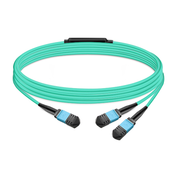 10m (33ft) 8 Fibers Low Insertion Loss Female to Female MPO12 to 2xMPO12 Polarity B APC to APC LSZH Multimode OM3 50/125