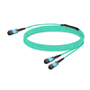 15m (49ft) 8 Fibers Low Insertion Loss Female to Female MPO12 to 2xMPO12 Polarity B APC to APC LSZH Multimode OM3 50/125