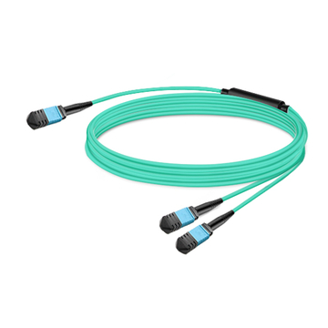 10m (33ft) 8 Fibers Low Insertion Loss Female to Female MPO12 to 2xMPO12 Polarity B APC to APC LSZH Multimode OM3 50/125