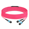 50m (164ft) 8 Fibers Low Insertion Loss Female to Female MPO12 to 2xMPO12 Polarity B APC to APC LSZH Multimode OM4 50/125