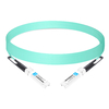 DSFP-100G-AOC-70M 70m (230ft) 100G DSFP56 to DSFP56 Active Optical Cables