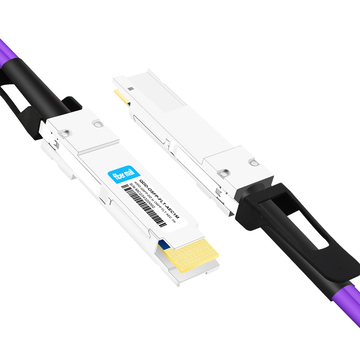 QDD-OSFP-FLT-AEC1M 1 m (3 Fuß) 400G QSFP-DD zu OSFP Flat Top PAM4 Aktives elektrisches Kupferkabel