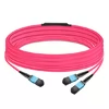 50m (164ft) 16 Fibers Low Insertion Loss Female to Female MPO16 (APC) to 2xMPO8 (UPC) Polarity B  LSZH Multimode OM3 50/125