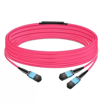 50m (164ft) 16 Fibers Low Insertion Loss Female to Female MPO16 (APC) to 2xMPO8 (UPC) Polarity B  LSZH Multimode OM3 50/125