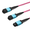 50m (164ft) 16 Fibers Low Insertion Loss Female to Female MPO16 (APC) to 2xMPO8 (UPC) Polarity B  LSZH Multimode OM3 50/125