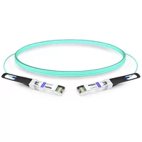 25G SFP28 to SFP28 850nm 5m Immersion Liquid Cooling Active Optical Cable