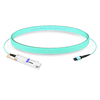 OSFP-400GF-MPO60M 400G OSFP SR4 MPO-12 Female Plug Pigtail 60m Immersion Liquid Cooling Optical Transceivers
