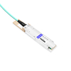 OSFP-400GM-MPO1M 400G OSFP SR4 MPO-12 Male Plug Pigtail 1m Immersion Liquid Cooling Optical Transceivers