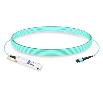 OSFP-400GM-MPO60M 400G OSFP SR4 MPO-12 Male Plug Pigtail 60m Immersion Liquid Cooling Optical Transceivers