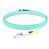 Q112-400GM-MPO1M 400G QSFP112 SR4 MPO-12 Male Plug Pigtail 1m Immersion Liquid Cooling Optical Transceivers