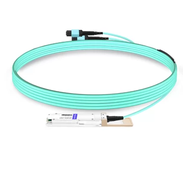 OSFP-800G85F-MPO60M 800G OSFP SR8 MPO-12 Female Plug Pigtail 60m Immersion Liquid Cooling Optical Transceivers