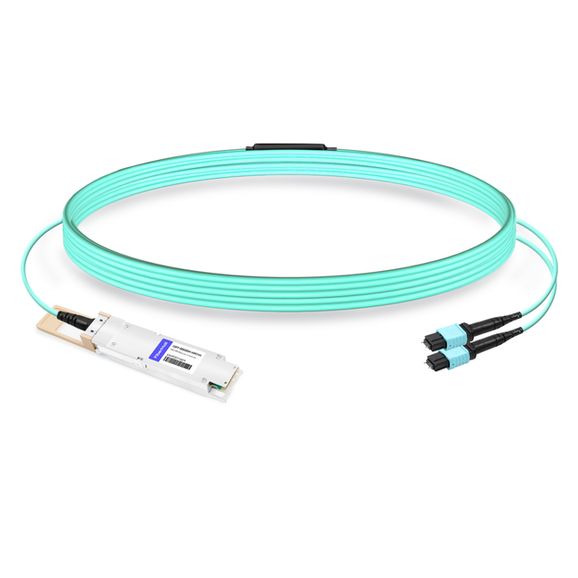 Immersion 800G OSFP SR8 MPO Male Pigtail 1m Optical | FiberMall