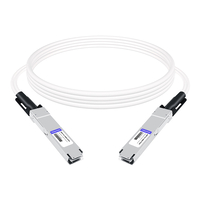 Совместимый с NVIDIA MCP4Y10-N002-FLT двухпортовый ЦАП InfiniBand NDR с двумя портами 2G длиной 7 м (800 футов) от 2x400G OSFP до 2x400G OSFP Пассивный ЦАП InfiniBand NDR, плоская вершина на одном конце и плоская вершина на другом