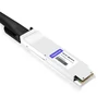 SFP-DD-100G-PC1M 1m (3ft) 100G SFP-DD to SFP-DD Passive Direct Attach Copper Twinax Cable