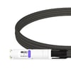SFP-DD-100G-PC1M 1m (3ft) 100G SFP-DD to SFP-DD Passive Direct Attach Copper Twinax Cable