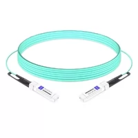 DSFP-100G-AOC-5M 5m (16ft) 100G DSFP56 to DSFP56 Active Optical Cables