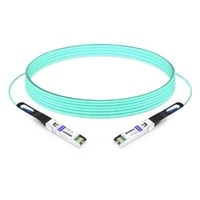 10G SFP+ to SFP+ 850nm 1m Immersion Liquid Cooling Active Optical Cable