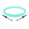 10G SFP+ to SFP+ 850nm 10m Immersion Liquid Cooling Active Optical Cable