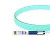 10G SFP+ to SFP+ 850nm 50m Immersion Liquid Cooling Active Optical Cable