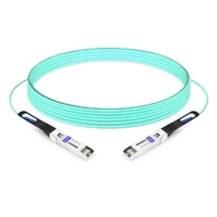 25G SFP28 to SFP28 850nm 1m Immersion Liquid Cooling Active Optical Cable