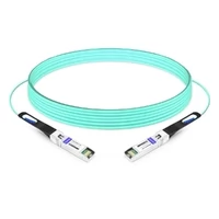 25G SFP28 to SFP28 850nm 5m Immersion Liquid Cooling Active Optical Cable