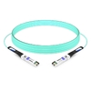 25G SFP28 to SFP28 850nm 30m Immersion Liquid Cooling Active Optical Cable