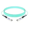 25G SFP28 to SFP28 850nm 100m Immersion Liquid Cooling Active Optical Cable