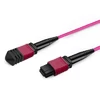 10m (33ft) 16 Fibers Female to Female MPO Trunk Cable Polarity B LSZH OM4 50/125 Multimode Fiber UPC