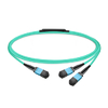 3m (10ft) 16 Fibers Low Insertion Loss Female to Female MPO24 (UPC) to 2xMPO8 (UPC) Polarity B LSZH Multimode OM3 50/125