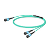 3m (10ft) 16 Fibers Low Insertion Loss Female to Female MPO24 (UPC) to 2xMPO8 (UPC) Polarity B LSZH Multimode OM3 50/125
