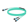 10m (33ft) 16 Fibers Low Insertion Loss Female to Female MPO24 (UPC) to 2xMPO8 (UPC) Polarity B LSZH Multimode OM3 50/125