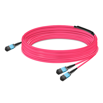 50m (164ft) 16 Fibers Low Insertion Loss Female to Female MPO24 (UPC) to 2xMPO8 (UPC) Polarity B LSZH Multimode OM3 50/125