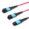 50m (164ft) 16 Fibers Low Insertion Loss Female to Female MPO24 (UPC) to 2xMPO8 (UPC) Polarity B LSZH Multimode OM3 50/125