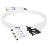 NVIDIA MCP7Y40-N003 Compatible 3m (10ft) 800G InfiniBand NDR Twin-port OSFP to 4x200G QSFP112 Breakout DAC