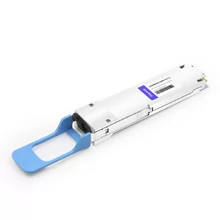 Loopback Module