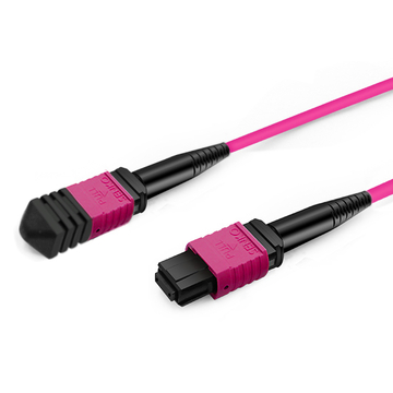 2m (7ft) 16 Fiber Low Insertion Loss Female to Female  MPO Trunk Cable Polarity B LSZH OM4 50/125 Multimode Fiber APC