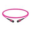 5m (16ft) 16 Fiber Low Insertion Loss Female to Female  MPO Trunk Cable Polarity B LSZH OM4 50/125 Multimode Fiber APC