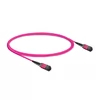 7m (23ft) 16 Fiber Low Insertion Loss Female to Female  MPO Trunk Cable Polarity B LSZH OM4 50/125 Multimode Fiber APC
