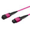 10m (33ft) 16 Fiber Low Insertion Loss Female to Female  MPO Trunk Cable Polarity B LSZH OM4 50/125 Multimode Fiber APC