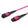 15m (49ft) 16 Fiber Low Insertion Loss Female to Female  MPO Trunk Cable Polarity B LSZH OM4 50/125 Multimode Fiber APC