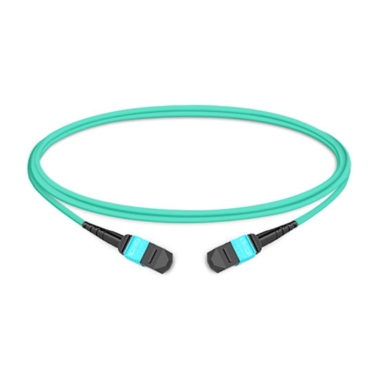 12 Fibers Multimode OM3 MTP Trunk Cable 1M | FiberMall